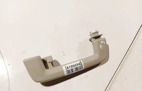 Ford Focus Rear interior roof grab handle