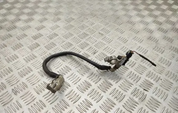 Negative earth cable (battery)