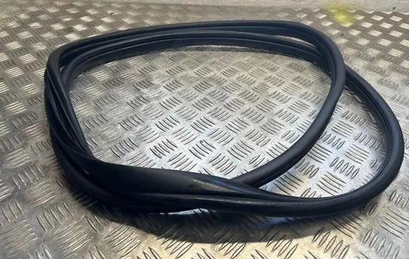 KIA EV6 Rubber seal front door (on door) 6220015