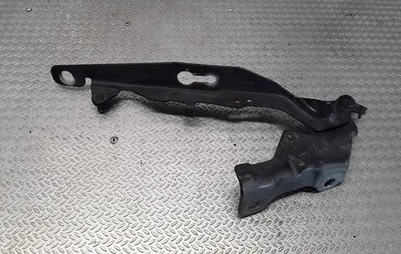 Engine bonnet/hood hinges