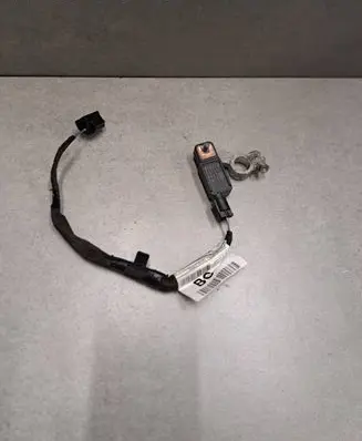 Jaguar I-Pace Negative earth cable (battery) HPLA10C679AC 0199300005