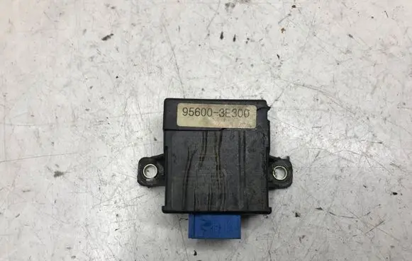 KIA Sorento Door control unit/module 956003E600