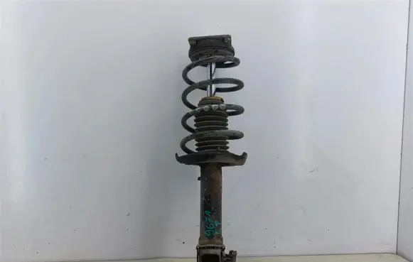 Fiat Grande Punto Front shock absorber with coil spring