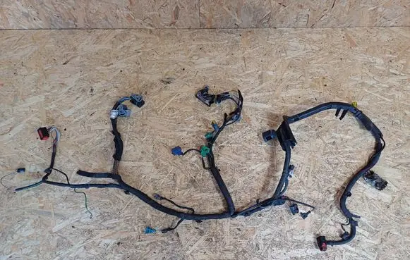 Peugeot 1007 Wiring harness 9640267180