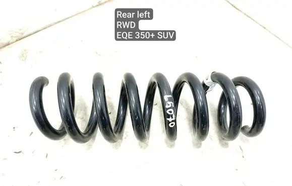 Rear coil spring