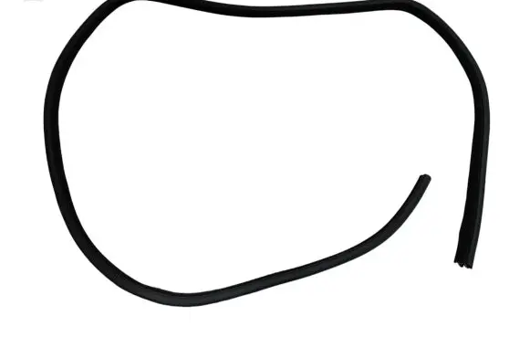 Rear door rubber seal (on body)