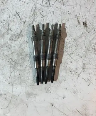 Opel Zafira B Glow plug 0250202132