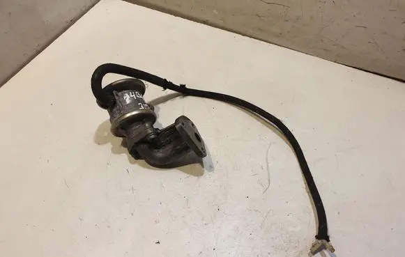 EGR valve