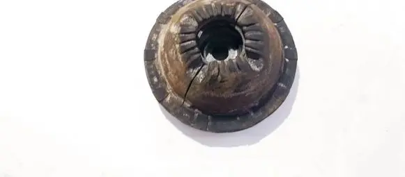 Coil spring mount