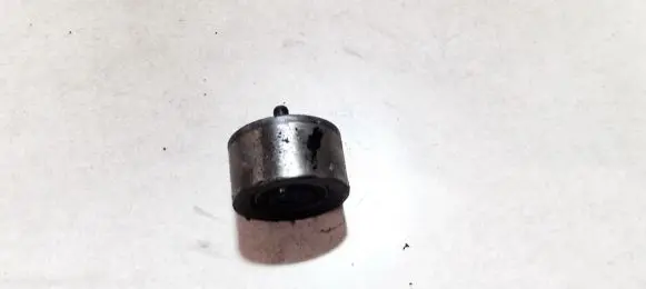 Peugeot 307 Belt tensioner pulley 