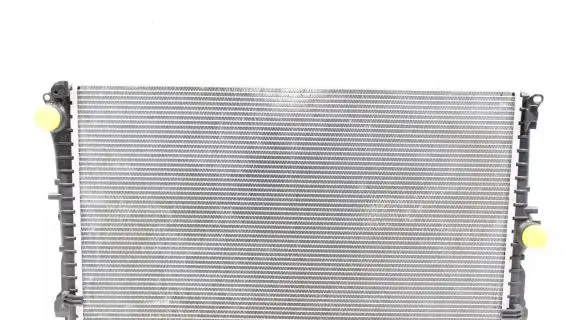 BMW X1 U11 Coolant radiator 9846866