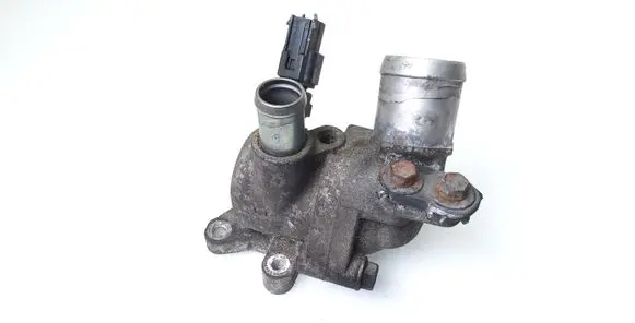 Thermostat/thermostat housing