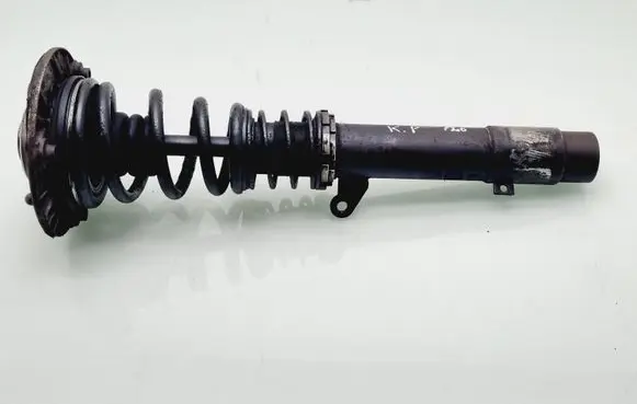 Front shock absorber with coil spring