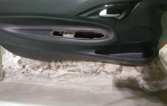 Citroen DS3 Front door card panel trim