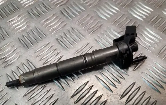 Mercedes-Benz S W221 Fuel injector 0445115064 A6420701387