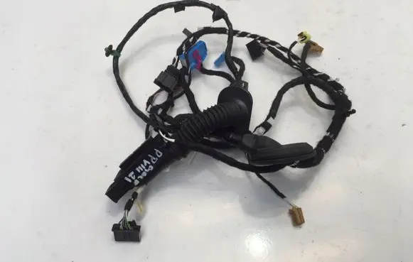 Front door wiring loom