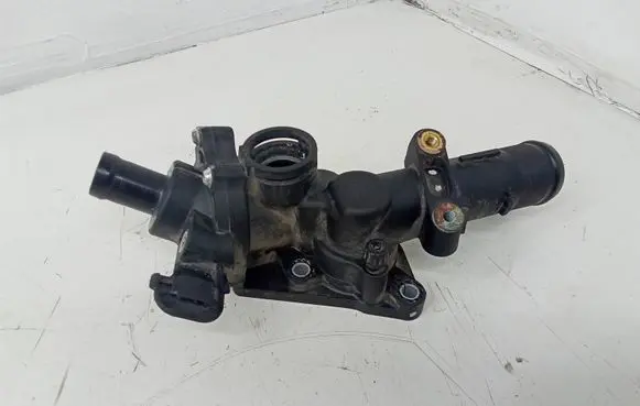 Thermostat/thermostat housing