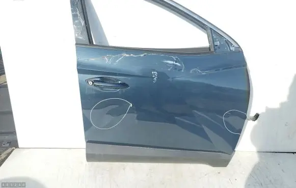 Hyundai Tucson TL Front door
