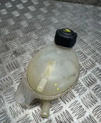 Renault Captur Coolant expansion tank/reservoir 217107259R