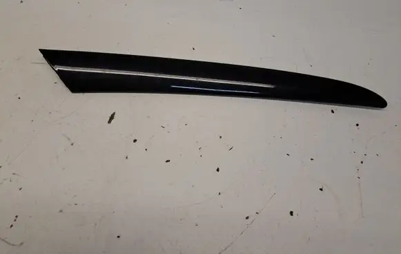 BMW X5 E53 Front door trim bar 8265484