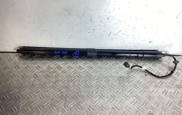 Tailgate/trunk strut/damper