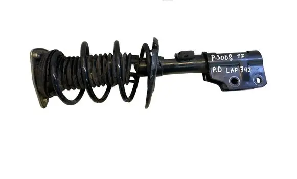 Front shock absorber with coil spring