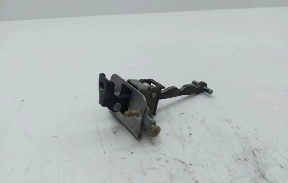 Citroen DS4 Rear door check strap stopper