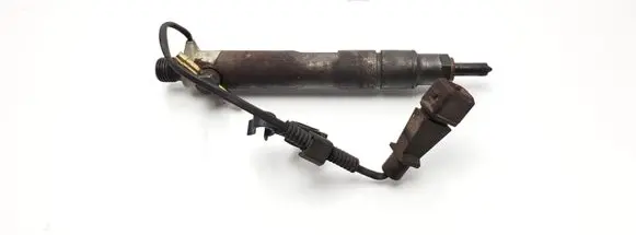 Volkswagen Golf IV Fuel injector 028130202Q