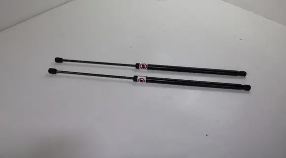 Ford C-MAX II Tailgate/trunk strut/damper AM51R406A10AC