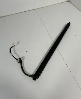 Tailgate strut