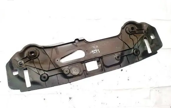 Engine bonnet/hood lock trim molding