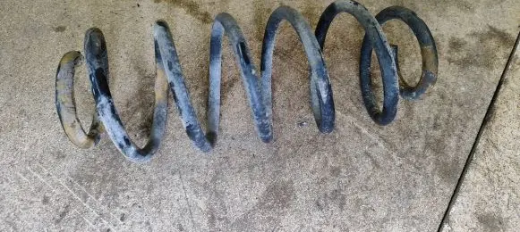Rear coil spring