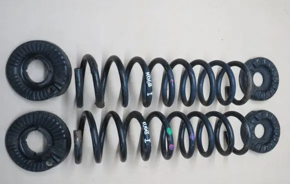 Ford Kuga II Rear coil spring 