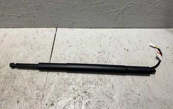 Tailgate strut