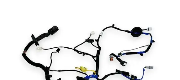 KIA EV6 Front door wiring loom 91605CV680 50929