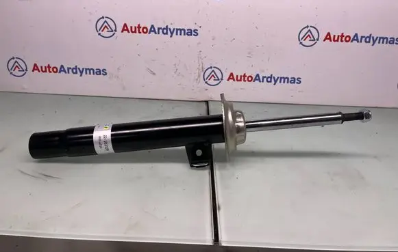 BMW 3 E46 Front shock absorber/damper 1096849 31311096849