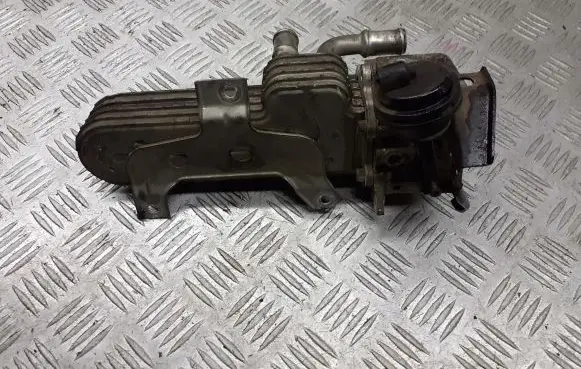 Seat Leon (1P) EGR valve cooler bracket 038131513AD