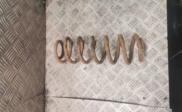 Volkswagen PASSAT B6 Rear coil spring