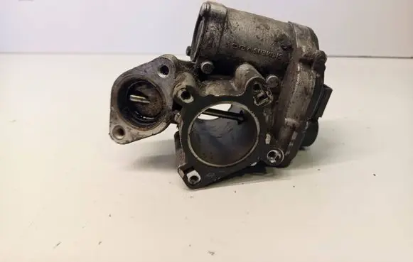 Renault Trafic II (X83) EGR valve 8200693739
