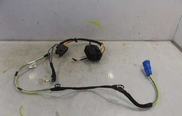 Renault Scenic III - Grand scenic III Other wiring loom T1006384K