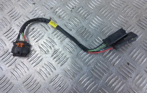 Citroen Berlingo Other wiring loom 17445 162183 420546