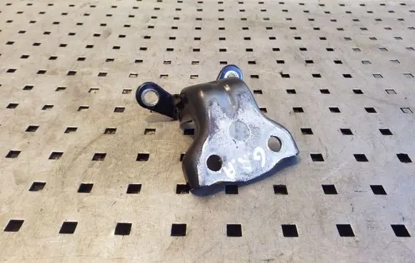 Chevrolet Captiva Rear door lower hinge
