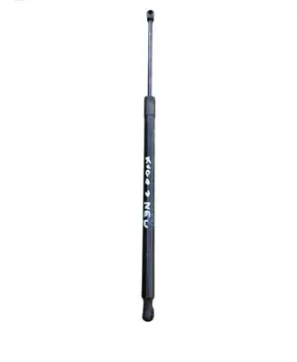 Tailgate/trunk strut/damper