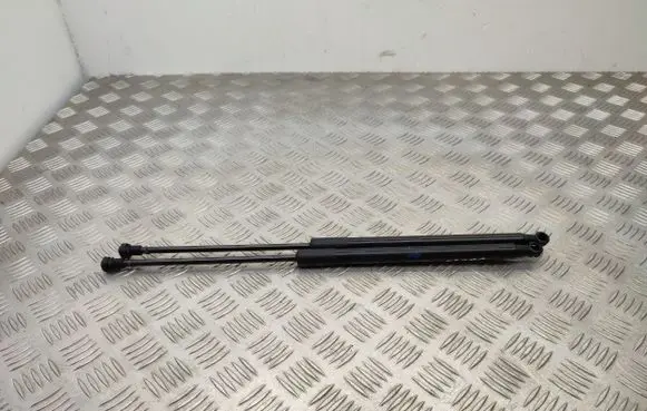 Citroen C1 Tailgate/trunk strut/damper 689500H040