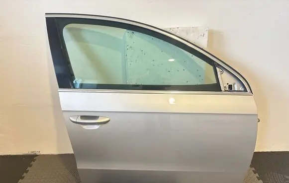 Volkswagen PASSAT B7 Front door 