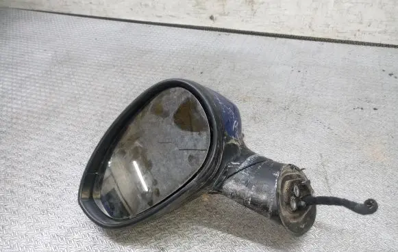 Fiat Punto Evo Front door electric wing mirror E3021046