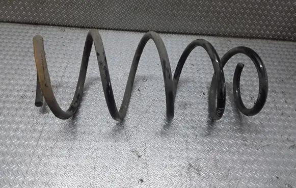 Fiat Punto (188) Front coil spring