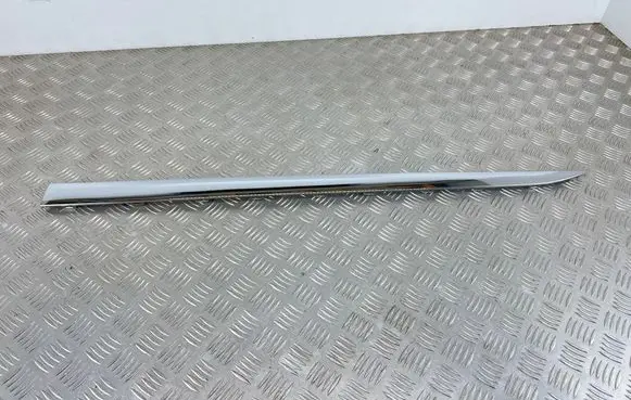 MG EHS Front door trim (molding) 10423724