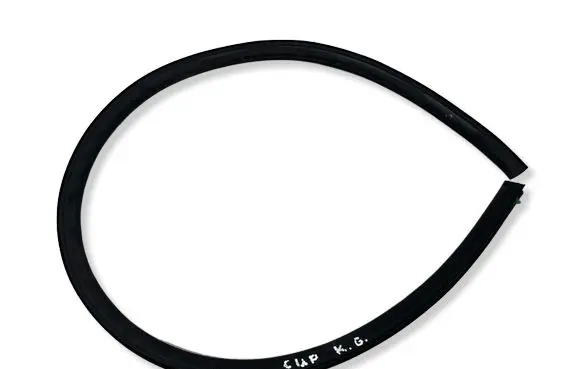Cupra Born Rubber seal rear door 10A839699