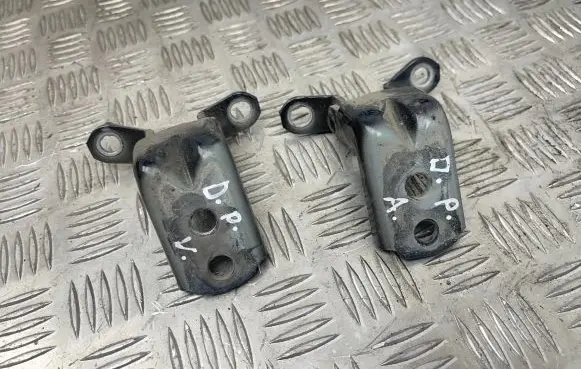 Nissan Leaf I (ZE0) Front door hinge set 